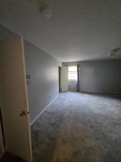 Full Home Reimagined 65